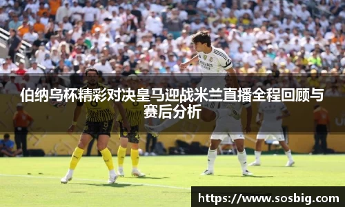 芒果体育官方网站